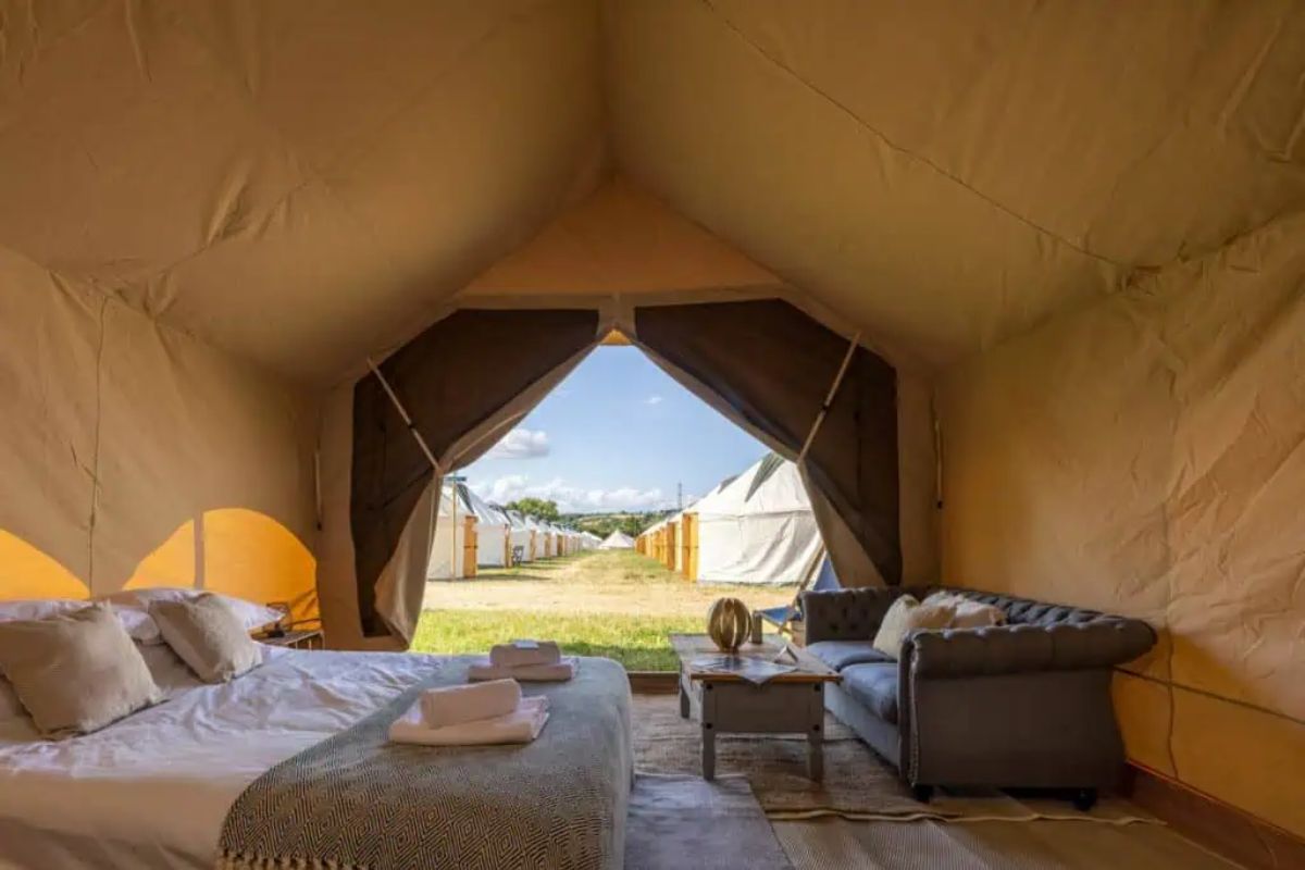 Safari Suite - VIP Accommodation Glastonbury Safari Suite - VIP Accommodation Glastonbury
