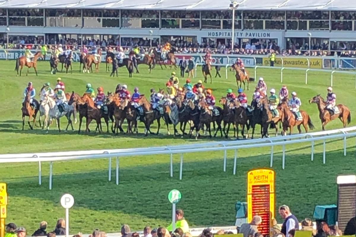 The Grand National Hospitality The Grand National Hospitality