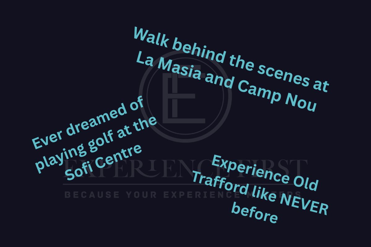 VIP Venue Access Image