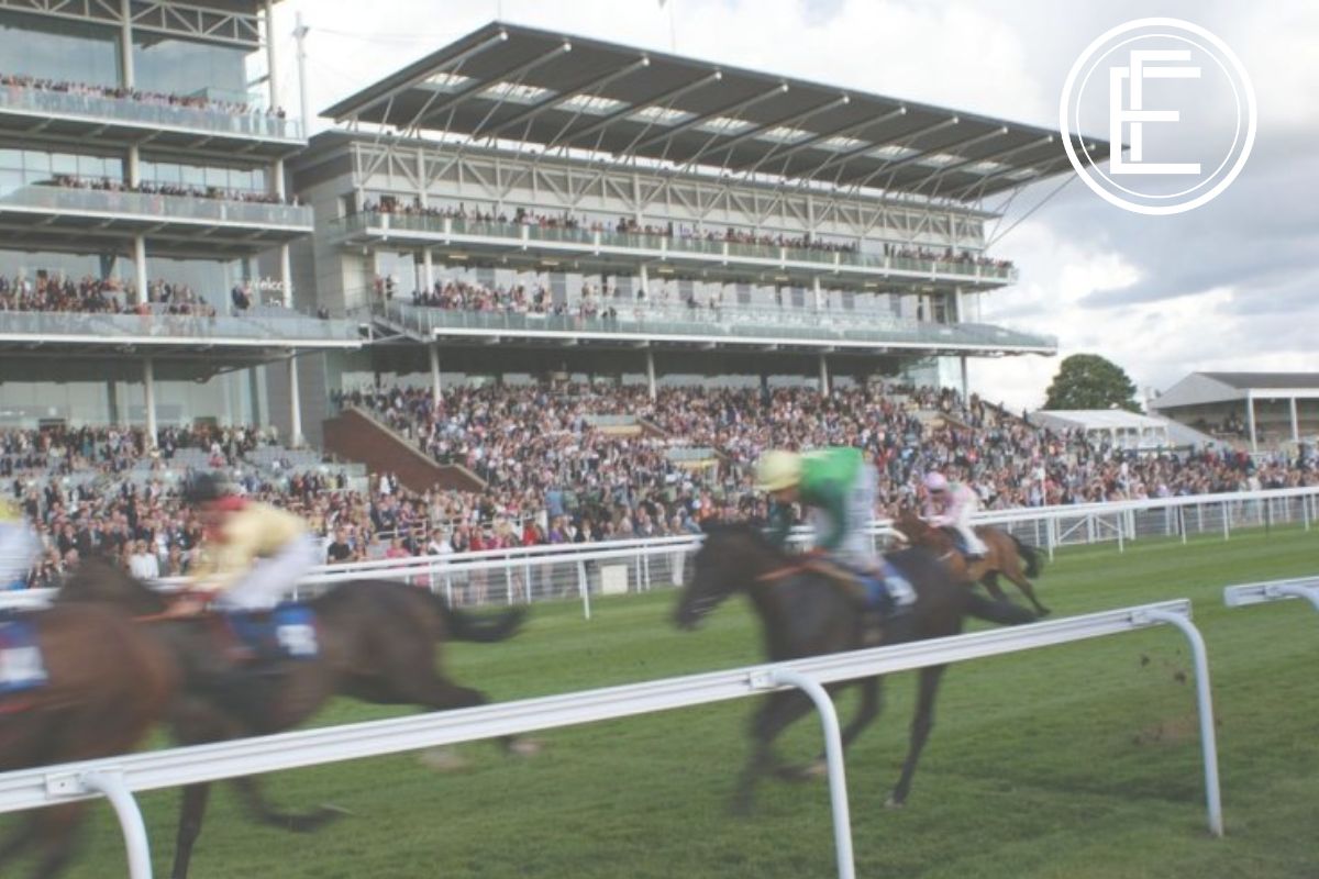 Ebor Festival Hospitality Blog
